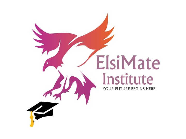 Elsimate Institute